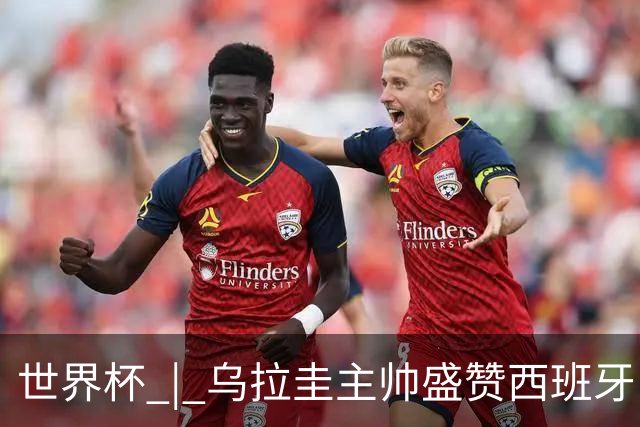 世界杯 | 乌拉圭主帅盛赞西班牙“精致足球”