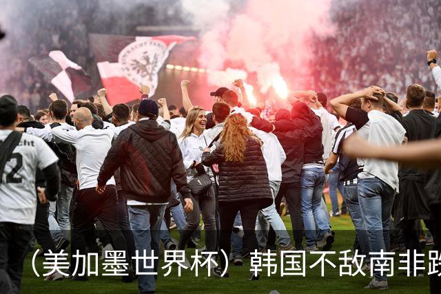 （美加墨世界杯）韩国不敌南非跌至小组第三 出线前景待定